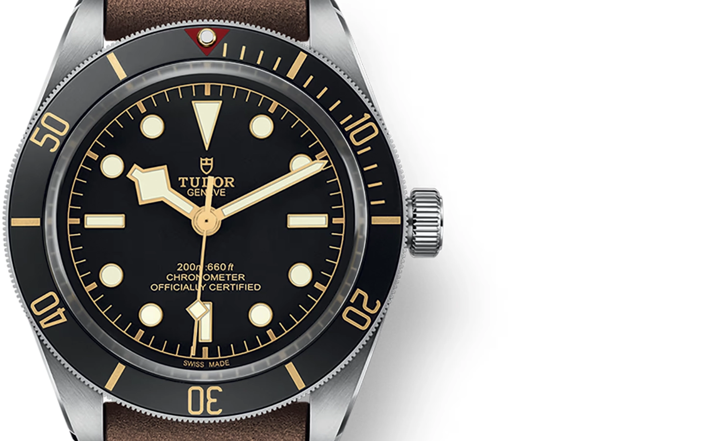 Tudor Black Bay M79030N-0002 WatchProject 21 Shop